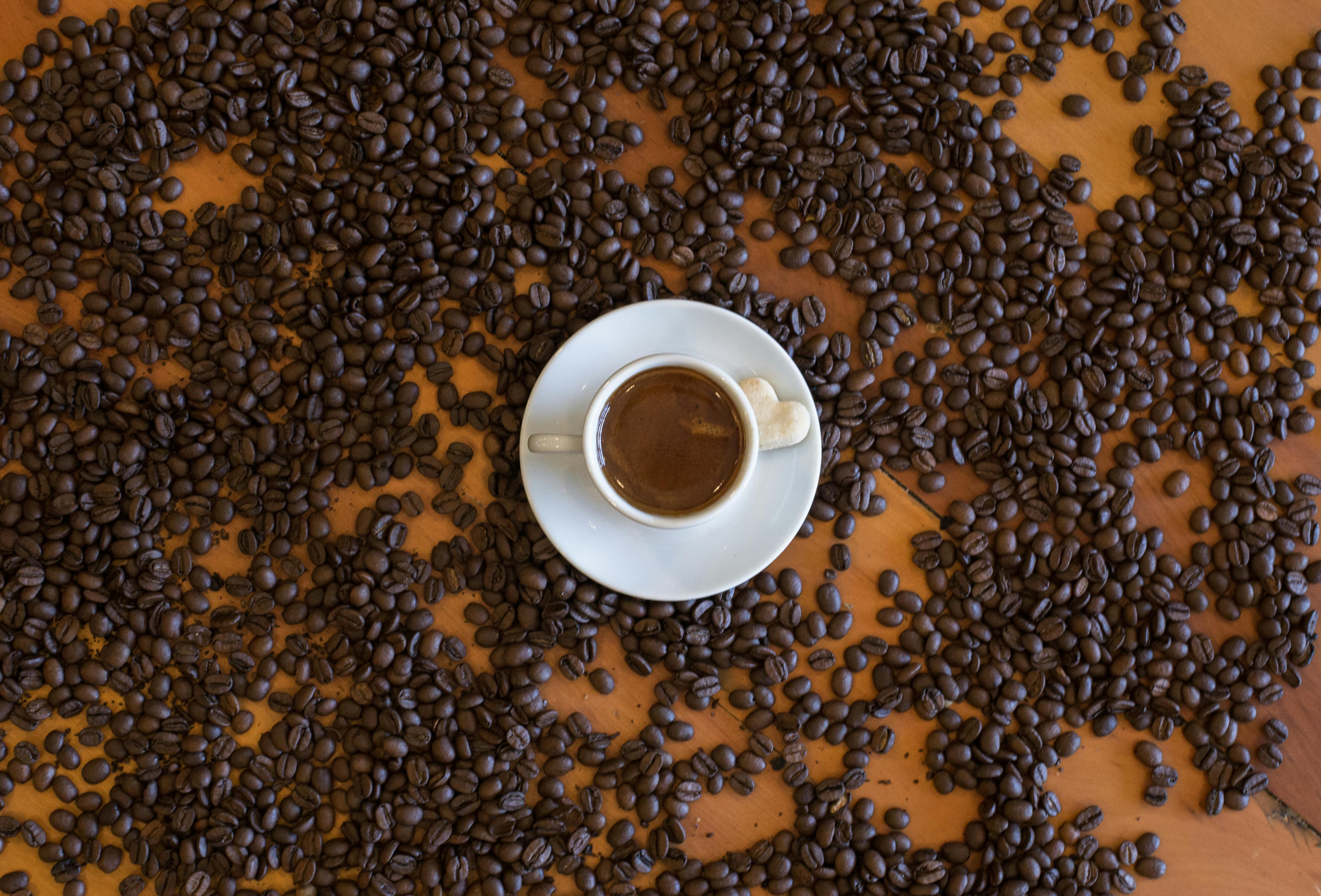 Coffee Tasting Experience